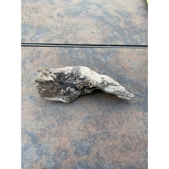 Other - Natural Driftwood for Plants Terrarium Taxidermy Art Projects